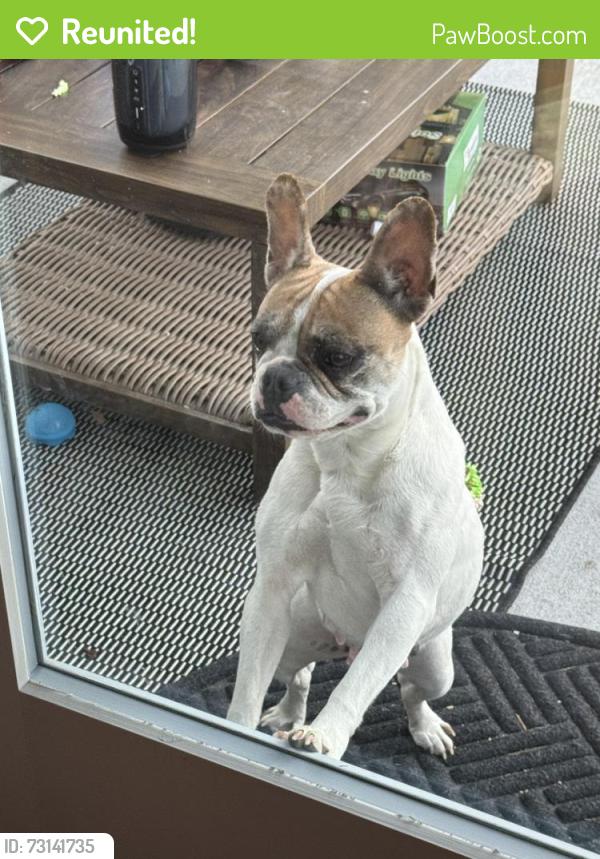 Reunited Female Dog last seen Andresen and 40th, Vancouver, WA 98661