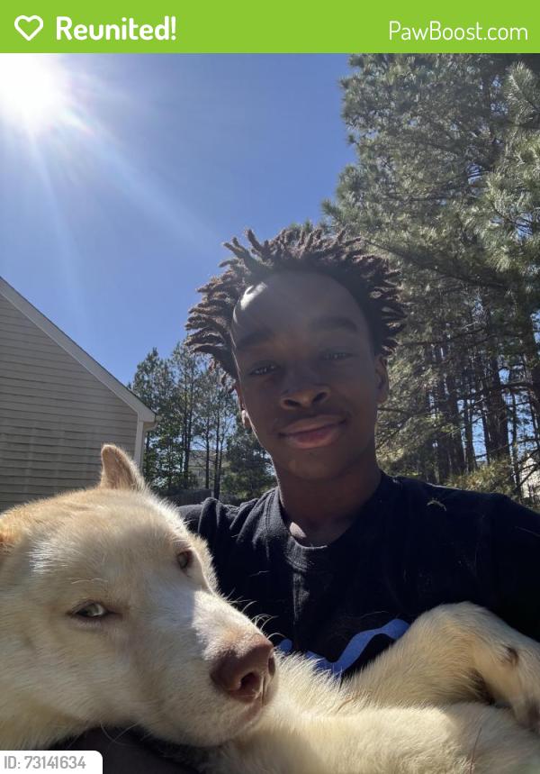 Reunited Male Dog last seen Hunter hill, Rocky Mount, NC 27804