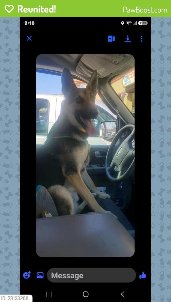 Reunited Male Dog last seen Logan Avenue, San Diego, CA 92113