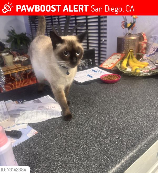Lost Female Cat last seen Mission Trails Regional Park, San Diego, CA 92119