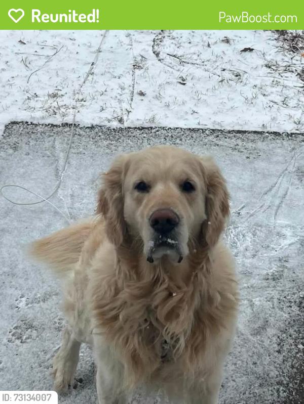 Reunited Male Dog last seen Henderson Bend Rd, Calhoun, GA 30701