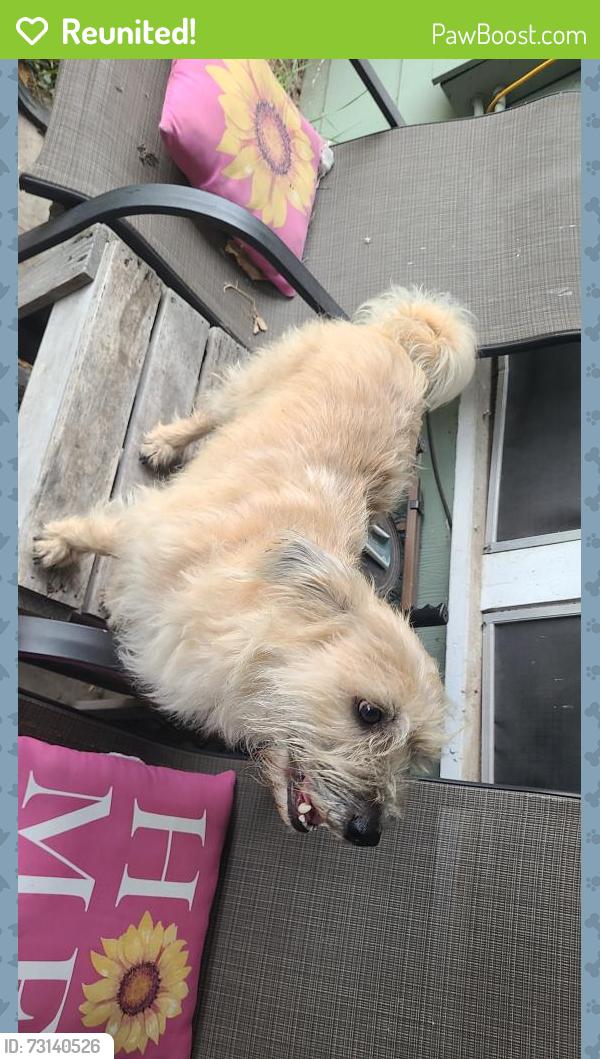 Reunited Male Dog last seen Goliad and Kate Schenck, San Antonio, TX 78223