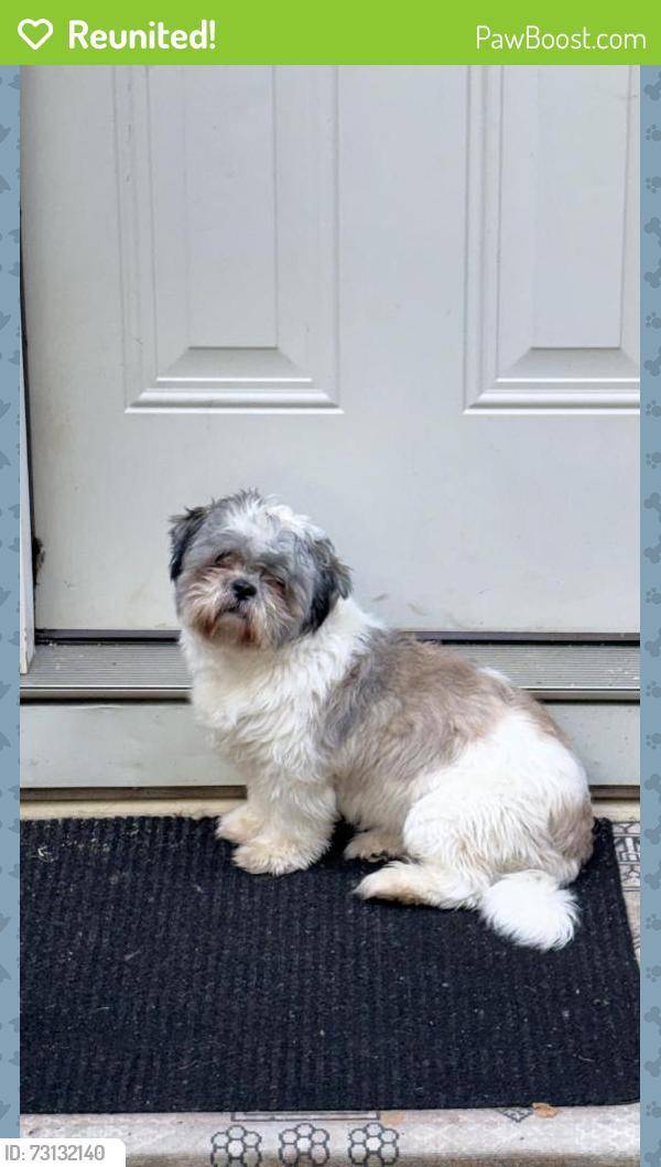 Reunited Female Dog last seen Zoey Lane, Austin, TX 78724