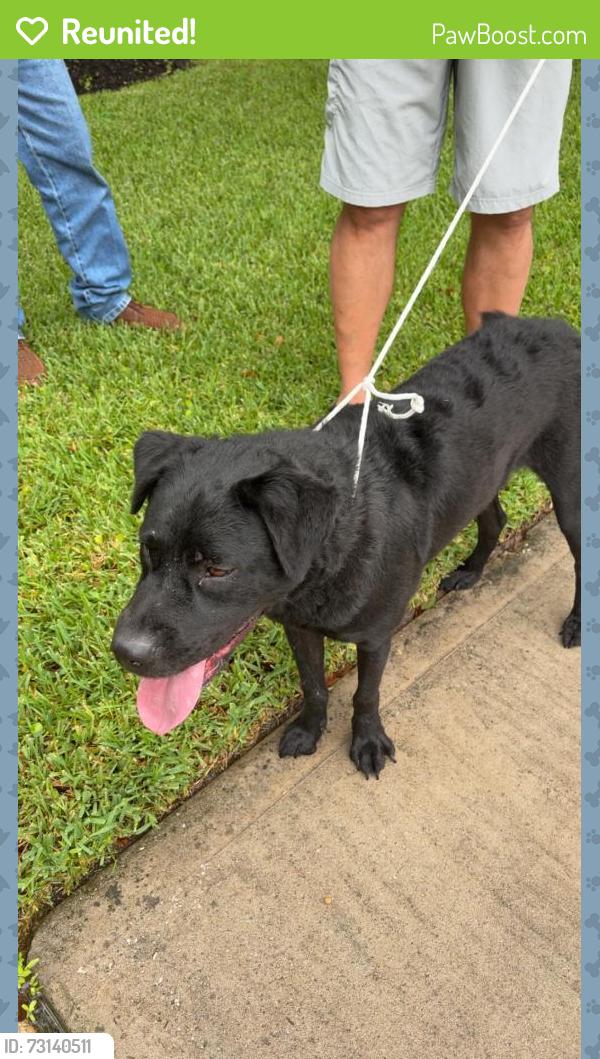 Reunited Male Dog last seen Near Crescent Clover Dr, Klein, TX 77379, USA, Klein, TX 77379