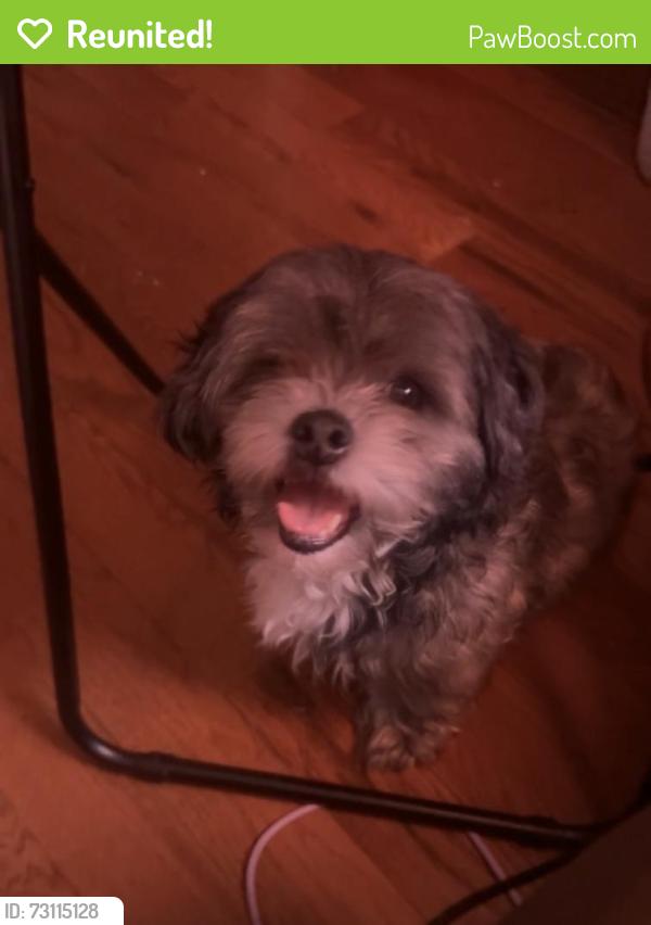 Reunited Male Dog last seen East oak lane, Philadelphia, PA 19122