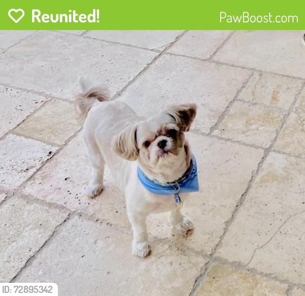 Reunited Male Dog last seen SW 78 st. Just west of the Palmetto Expy, Miami, FL 33143