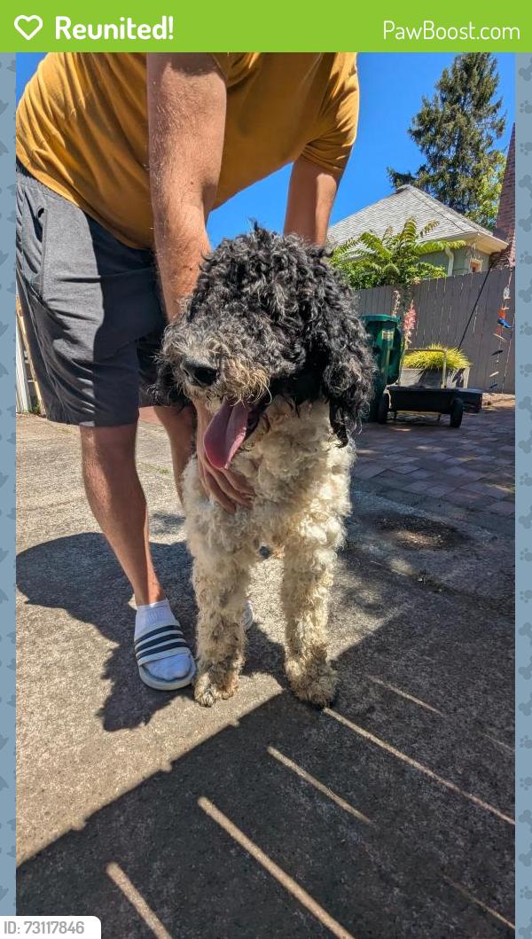 Reunited Male Dog last seen Near Normandale Park, Portland, OR 97213