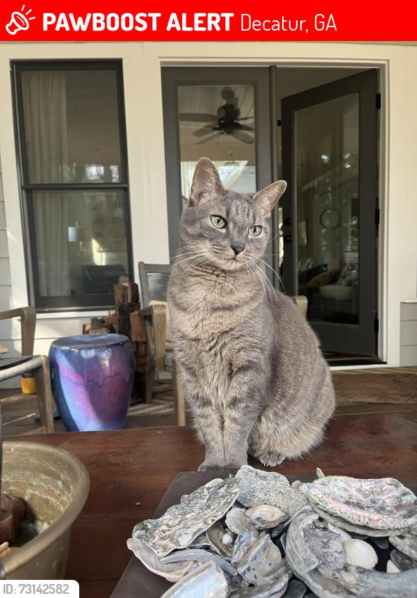 Lost Female Cat last seen Garland/ brower st, Decatur, GA 30030