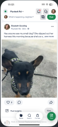 Reunited Female Dog last seen Around the neighborhood Stoney creek lithonia ga, Stonecrest, GA 30038