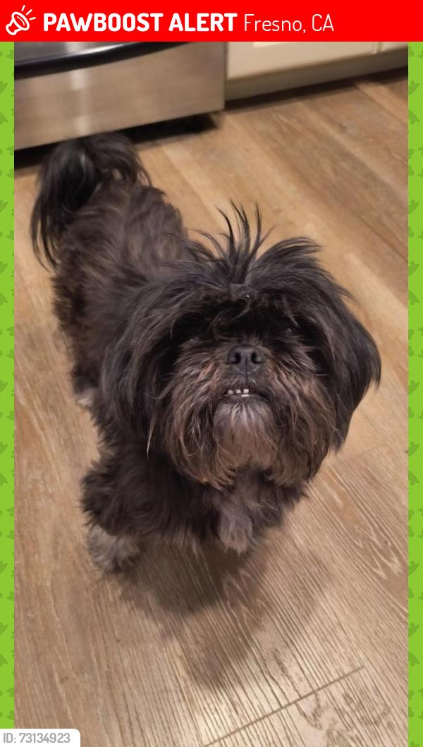 Lost Female Dog last seen Brawley and Figarden Ave, Fresno, CA 93711