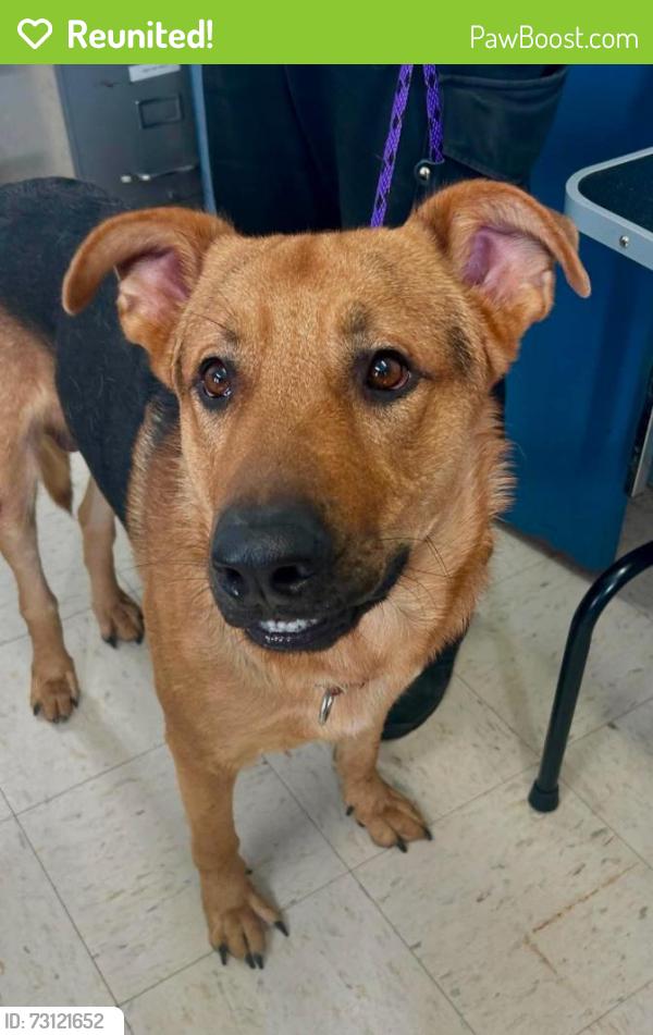 Reunited Male Dog last seen Charles and Grotto, Saint Paul, MN 55104
