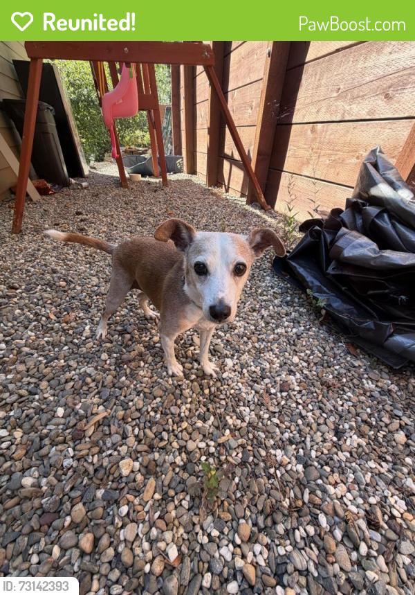 Reunited Male Dog last seen Scenic and River Road, Forestville, CA 95436