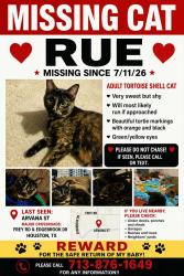 Lost Female Cat last seen Edgebrook and Frey Rd, Houston, TX 77034