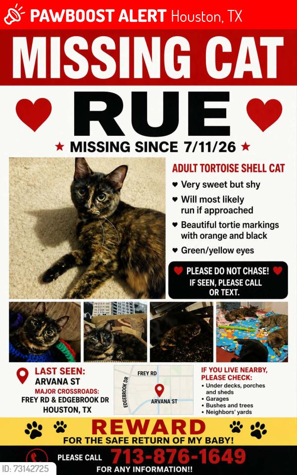 Lost Female Cat last seen Edgebrook and Frey Rd, Houston, TX 77034