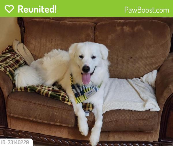 Reunited Male Dog last seen Timber lane, Baytown, TX 77520