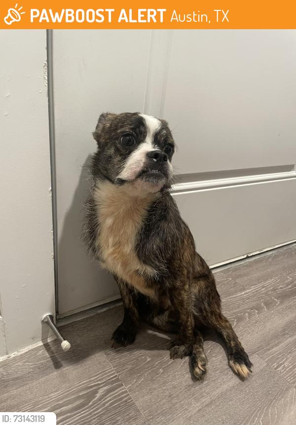 Found/Stray Male Dog last seen Ariza Easton Park apmts, Austin, TX 78744