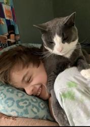 Lost Male Cat last seen post rd and warwick, Warwick, RI 02888
