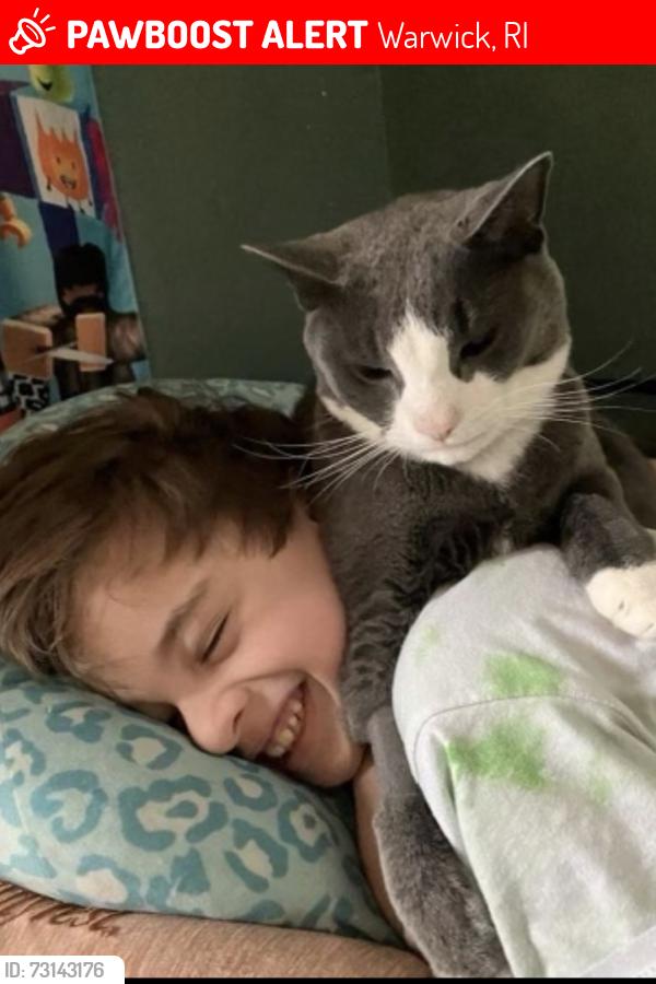 Lost Male Cat last seen post rd and warwick, Warwick, RI 02888