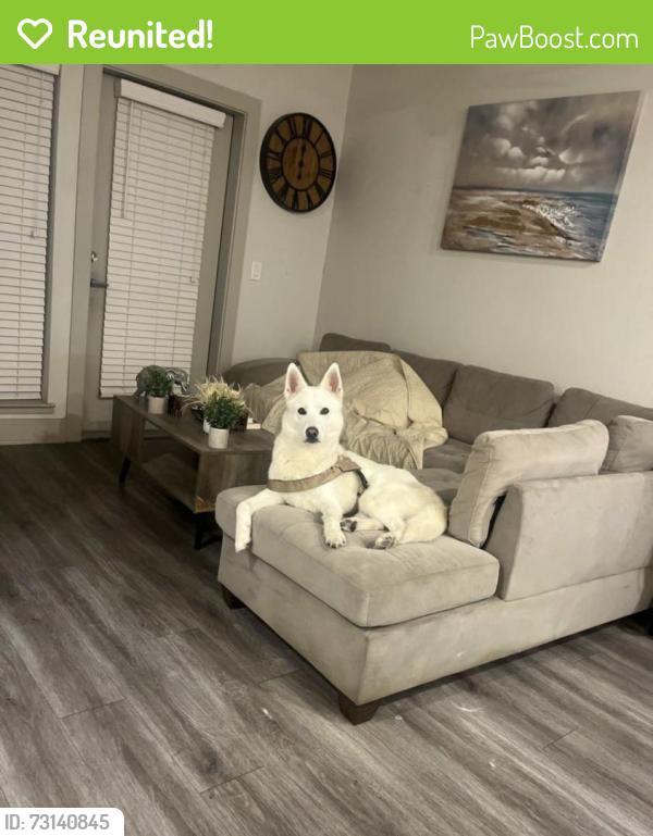 Reunited Male Dog last seen Near Church on stop sign, Houston, TX 77054