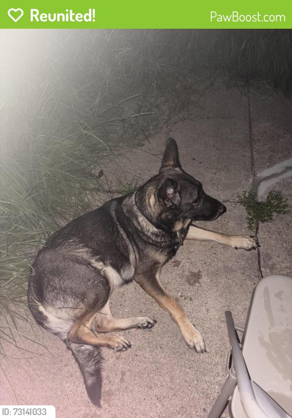 Reunited Female Dog last seen Loch Langham & Glenpatti, Houston, TX 77084