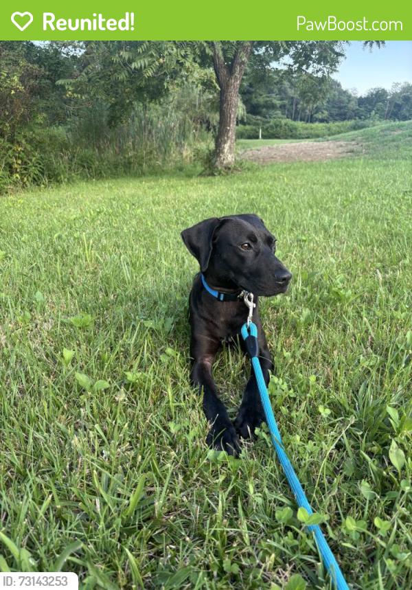 Reunited Male Dog last seen Near Ford Rd, Morrow, OH 45152, USA, Morrow, OH 45152