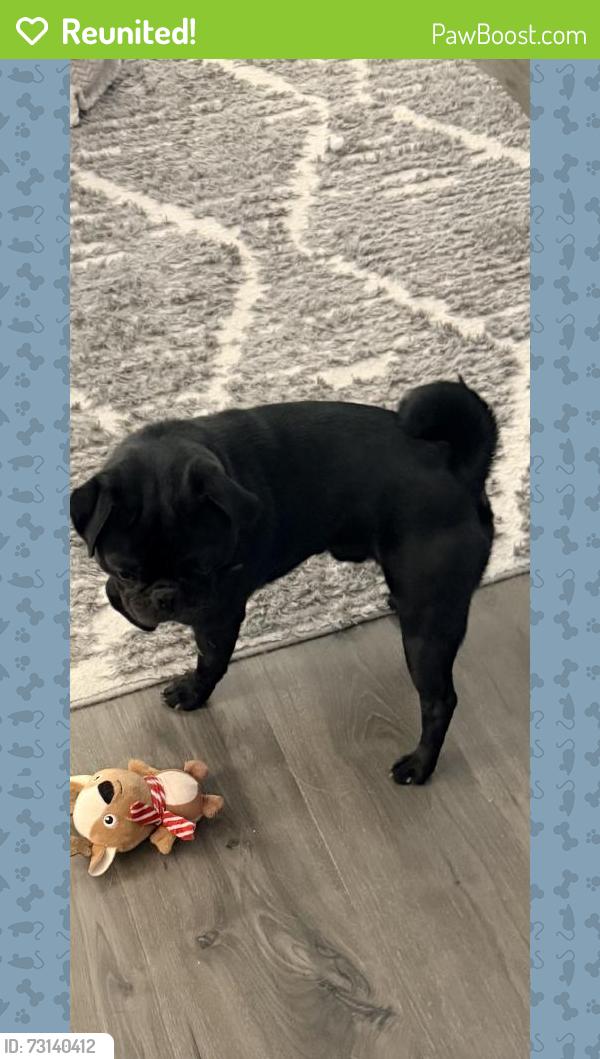 Reunited Male Dog last seen Near Monroe Way, Thornton, CO 80229, USA, Thornton, CO 80229