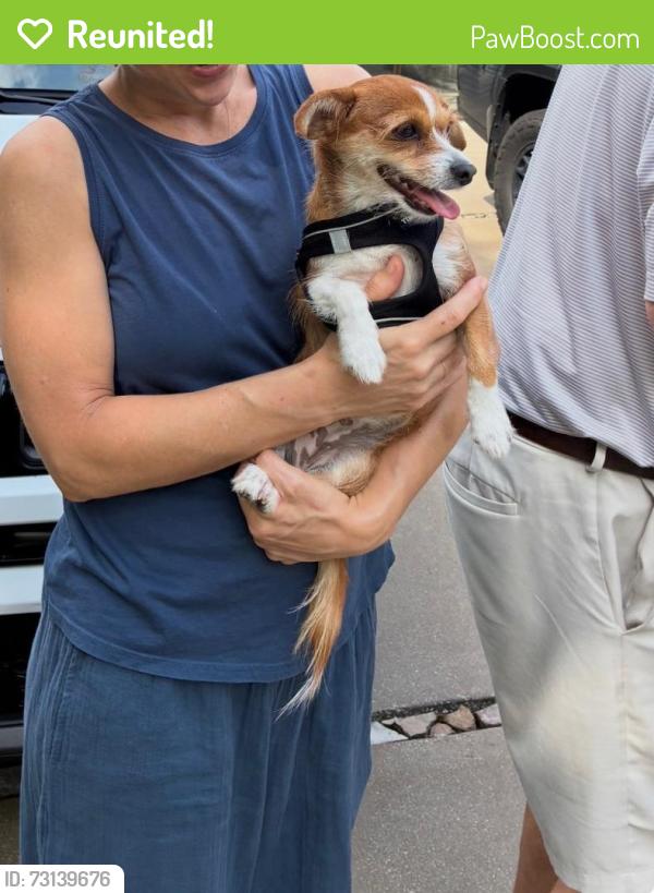 Reunited Female Dog last seen Harbor Island, by Shutes branch, Old Hickory, TN 37138