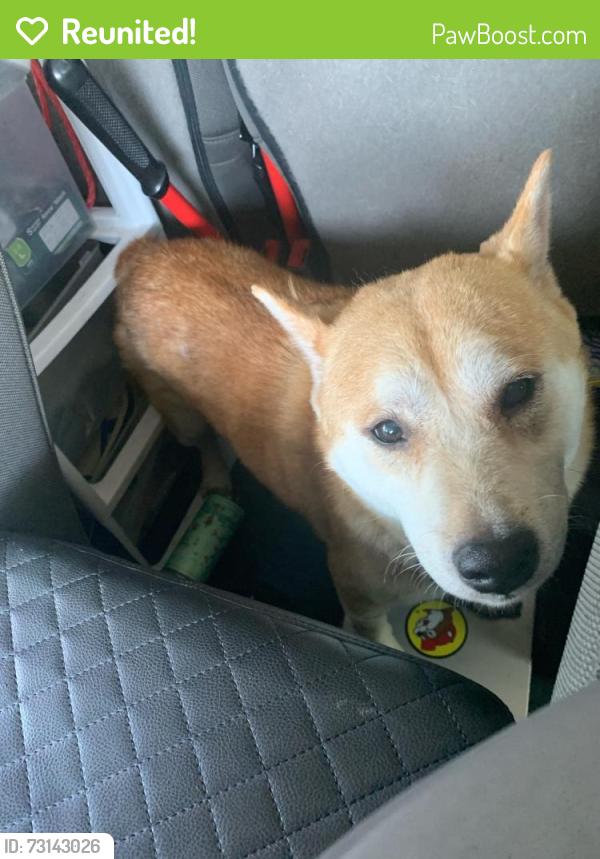 Reunited Unknown Dog last seen Port St. Lucie, Port St. Lucie, FL 34986