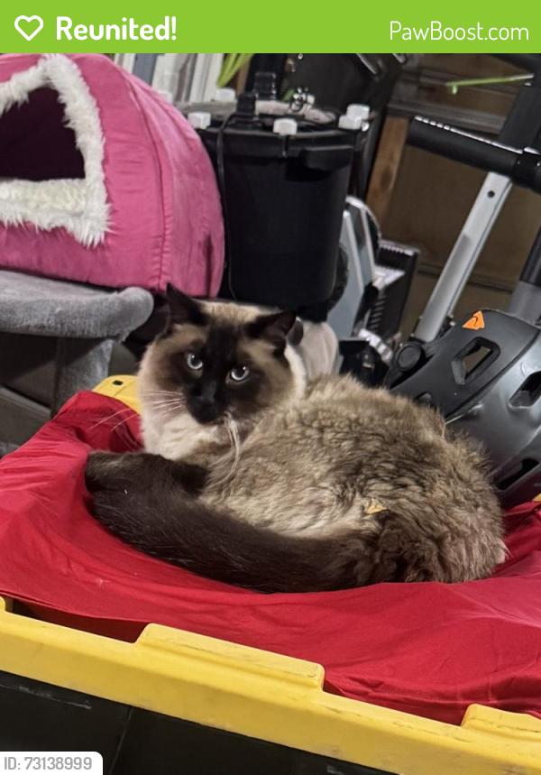 Reunited Male Cat last seen Hampden, Aurora, CO 80013