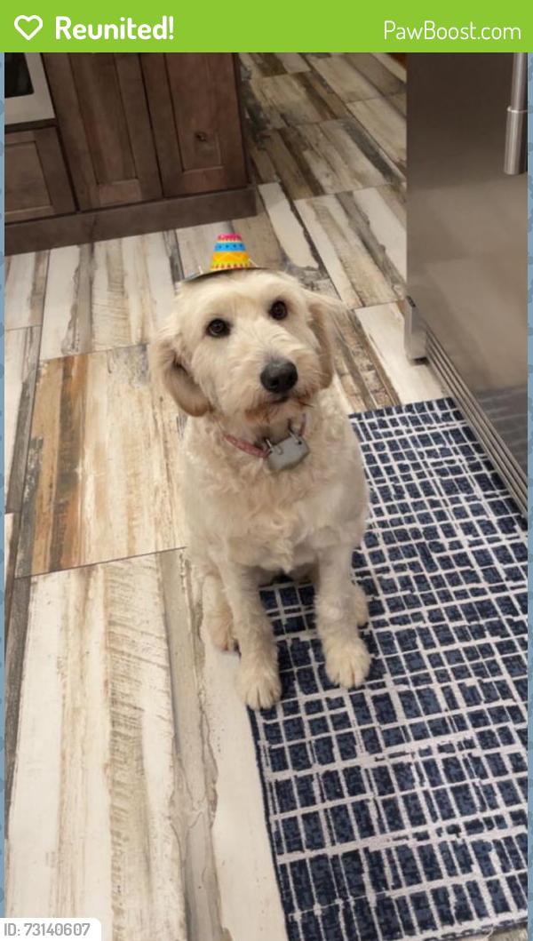 Reunited Female Dog last seen Old Knox Hwy & Wildwood Rd, Maryville, TN 37804