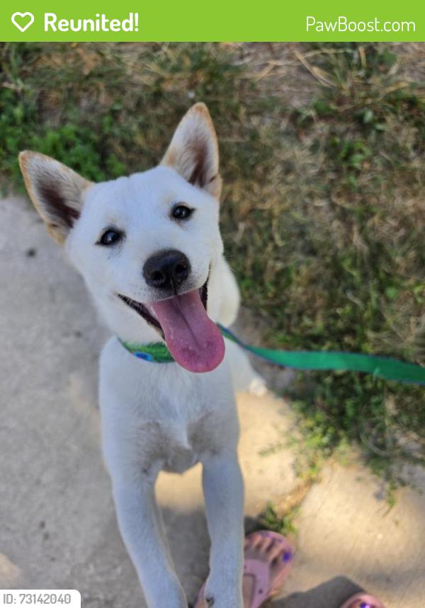 Reunited Unknown Dog last seen S 74th and Walker, West Allis, WI 53214