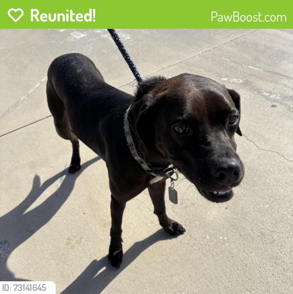 Reunited Unknown Dog last seen Port St. Lucie, Port St. Lucie, FL 34986