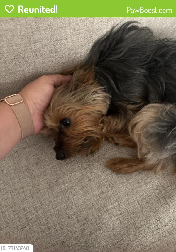 Reunited Female Dog last seen Near Donation Drive, Virginia Beach, VA 23455