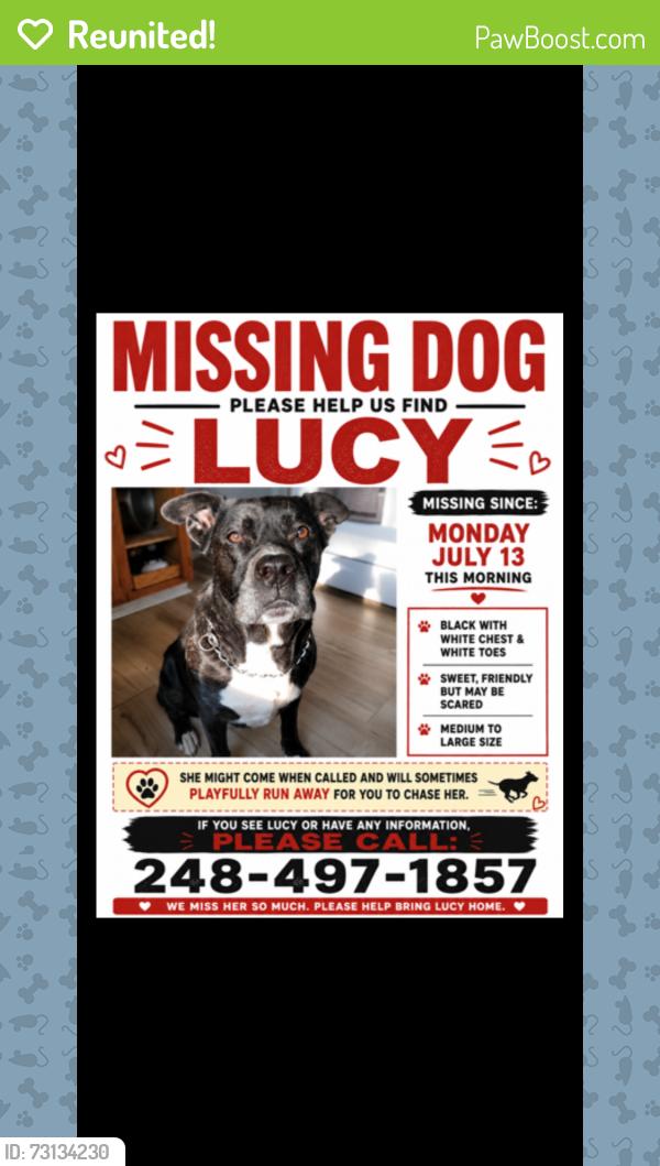 Reunited Female Dog last seen Franklin Road and Square Lake, Bloomfield Township, MI 48302