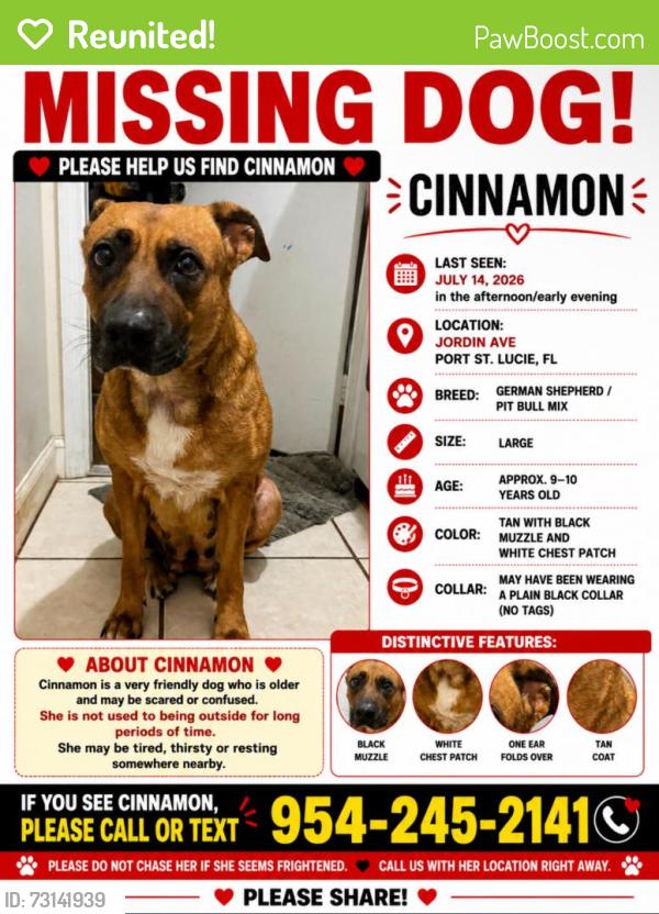 Reunited Female Dog last seen Port St. Lucie Blvd, Port St. Lucie, FL 34953
