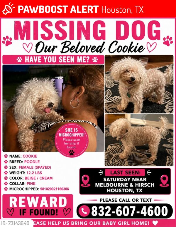 Lost Female Dog last seen Hirsh & Melbourne, Houston, TX 77026