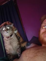 Lost Female Cat last seen Cherry, Erie, PA 16502