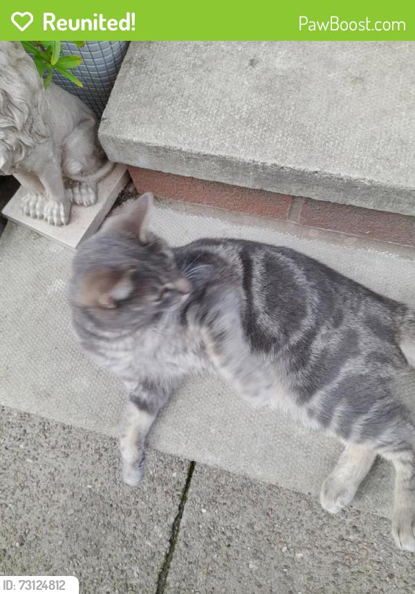Reunited Female Cat last seen Snipe road Oldham, Greater Manchester, England OL8 2PS