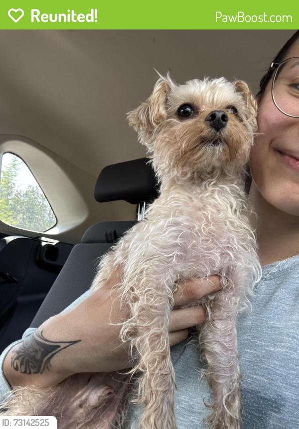 Reunited Male Dog last seen 205A Street, Edmonton, AB T5T 4V9