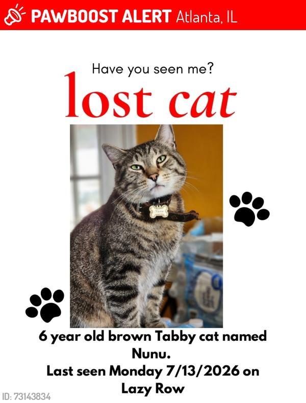Lost Male Cat last seen 2250th and route 66, Atlanta, IL 61723