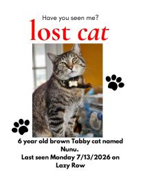 Lost Male Cat last seen 2250th and route 66, Atlanta, IL 61723