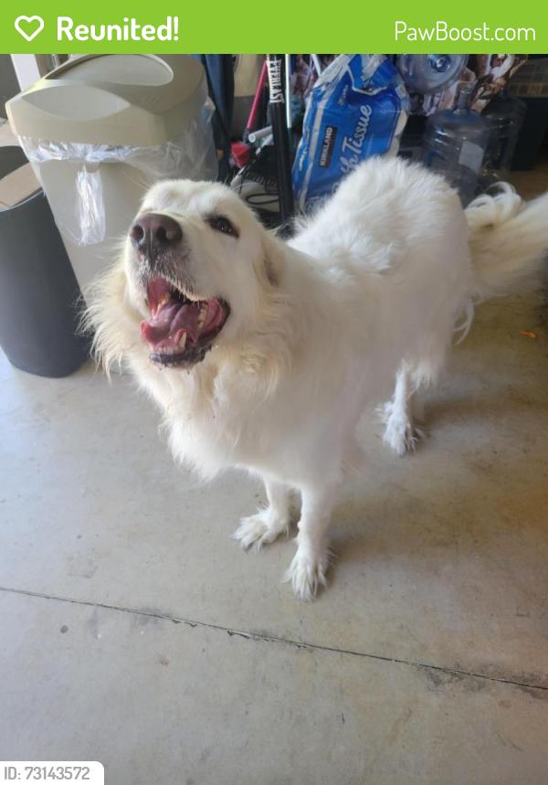 Reunited Male Dog last seen Tierra Rosa Lane and Mariposa, Chico, CA 95973