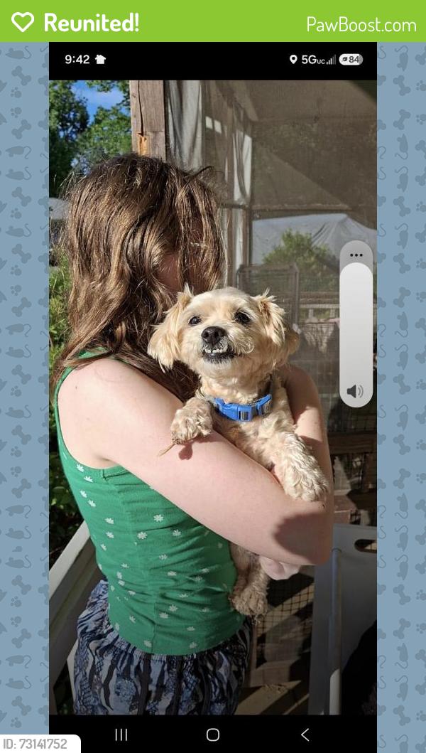 Reunited Male Dog last seen Near the exit to 14., Simpsonville, SC 29681