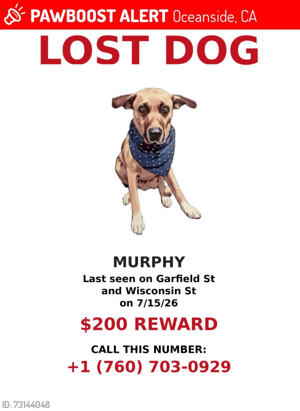 Lost Male Dog last seen Garfield and Missouri, Oceanside, CA 92054