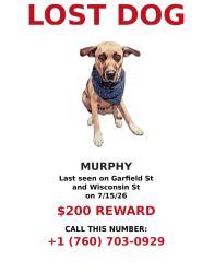 Lost Male Dog last seen Garfield and Missouri, Oceanside, CA 92054