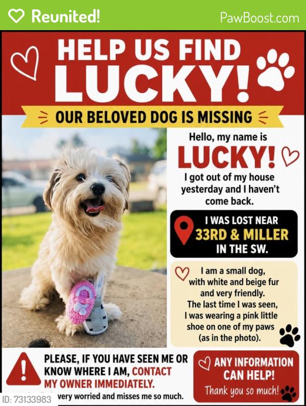 Reunited Female Dog last seen Near sw 33rd Oklahoma city 73119, Oklahoma City, OK 73119