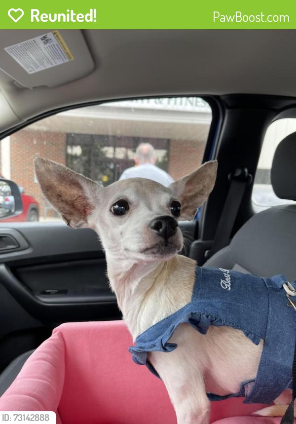 Reunited Female Dog last seen Indiana and holland place, Aberdeen, NC 28315
