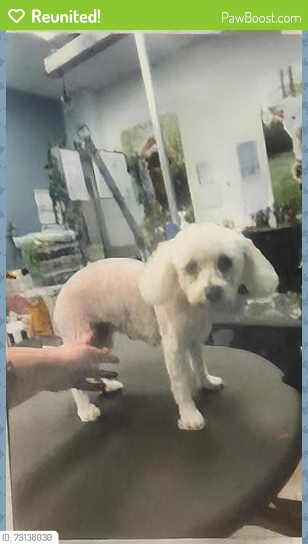 Reunited Male Dog last seen Oak drive deland Florida, DeLand, FL 32724