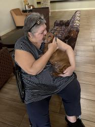 Reunited Female Dog last seen Near Montessouri Street Las Vegas NV 89113, Las Vegas, NV 89113