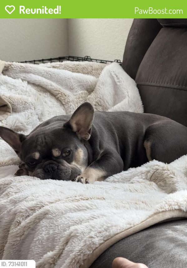 Reunited Male Dog last seen Parkside Way, Roseville, CA 95747